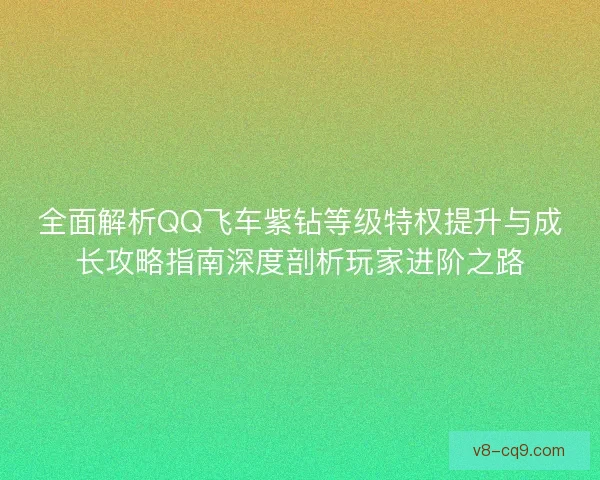 全面解析QQ飞车紫钻等级特权提升与成长攻略指南深度剖析玩家进阶之路